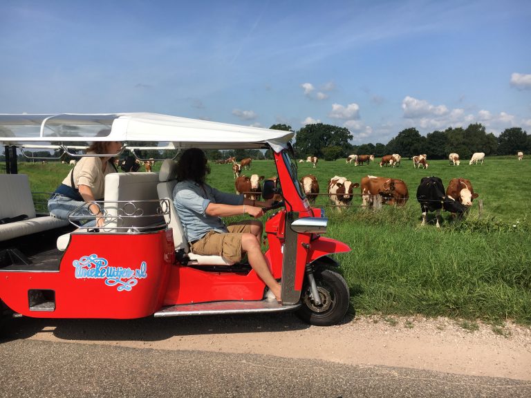 Elektrische tuktuk huren